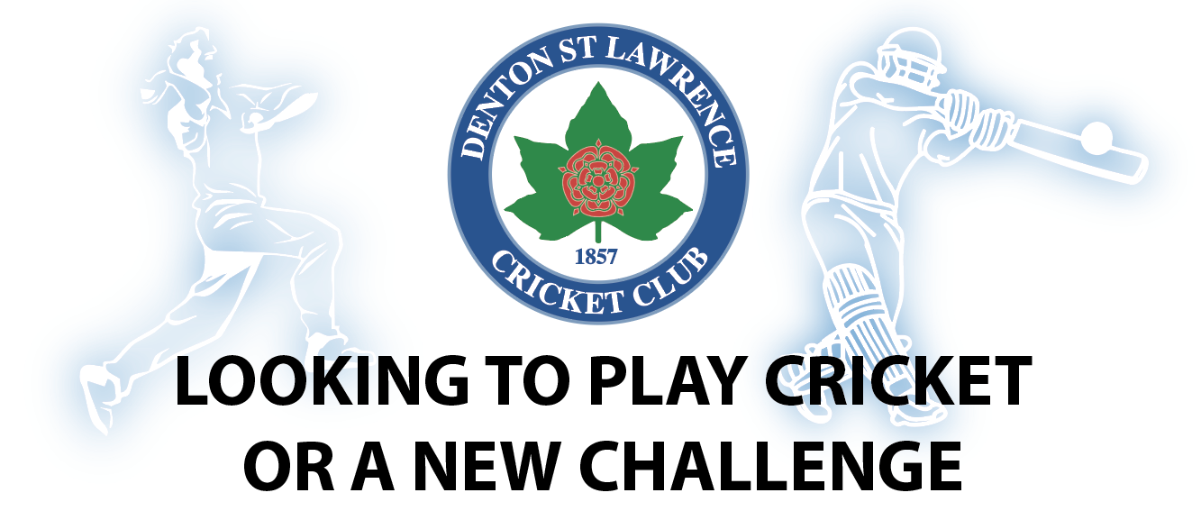 Looking to Play Cricket or a New Challenge?